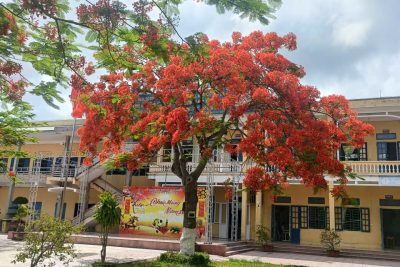 🌟 THẦY VÀ TRÒ TRƯỜNG THCS GIAO CHÂU – HÀNH TRÌNH NỖ LỰC VÀ NHỮNG TRÁI NGỌT TRONG KỲ THI TUYỂN SINH VÀO LỚP 10 NĂM HỌC 2026-2027 🌟